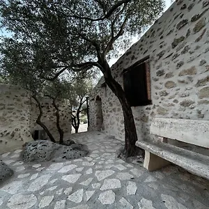 Roba Degli Ulivi Bed & Breakfast